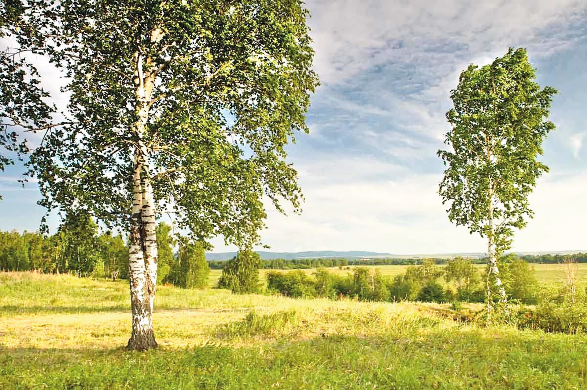 ВСЕ О ТКАНИ
